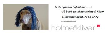 
Sponsorplade:
Holme & Kliver
Laurids Skaus Gade 26
6100 Haderslev
www.holmeogkliver.dk